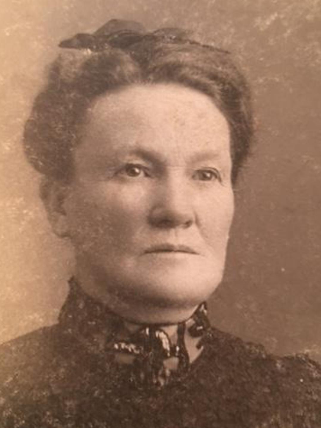 Lavina Haynes (1852 - 1932) Profile